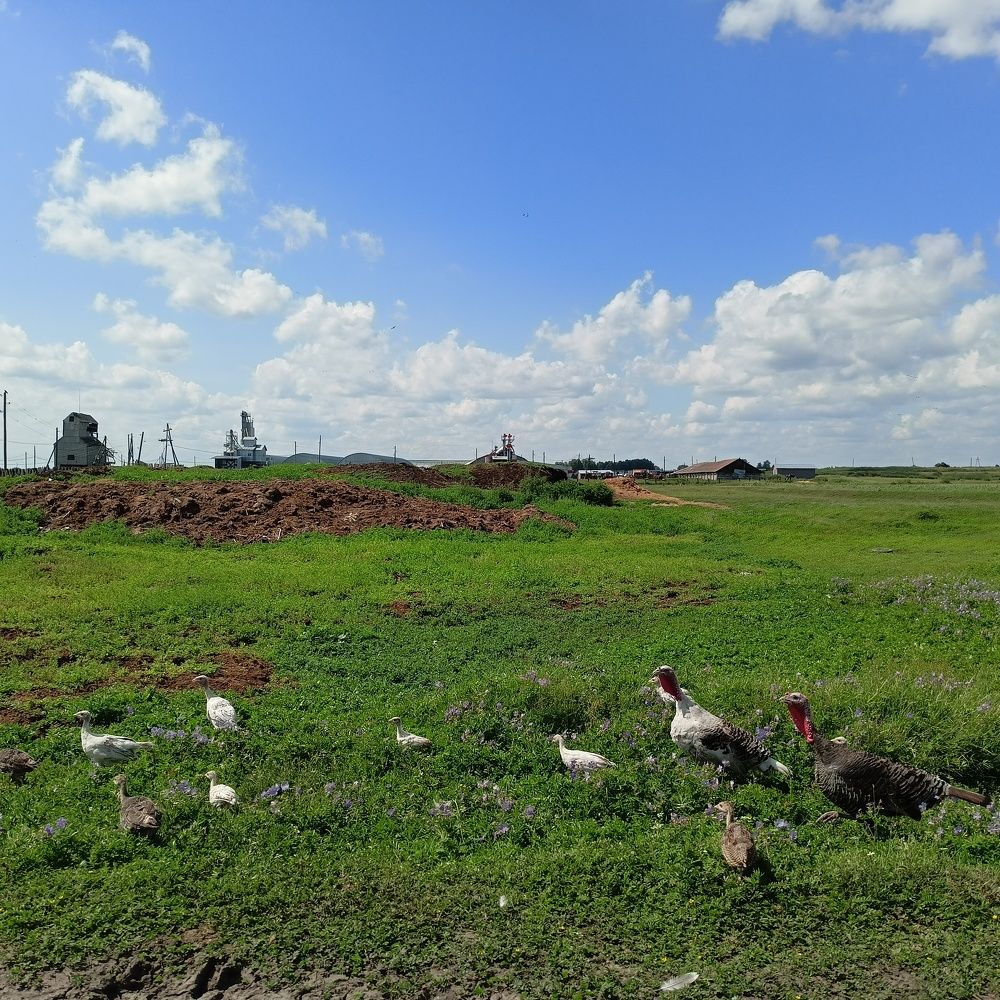 Photograph by Анастасия Горбачева