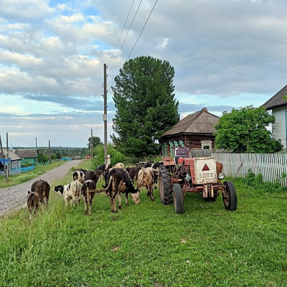 Photograph by Анастасия Горбачева