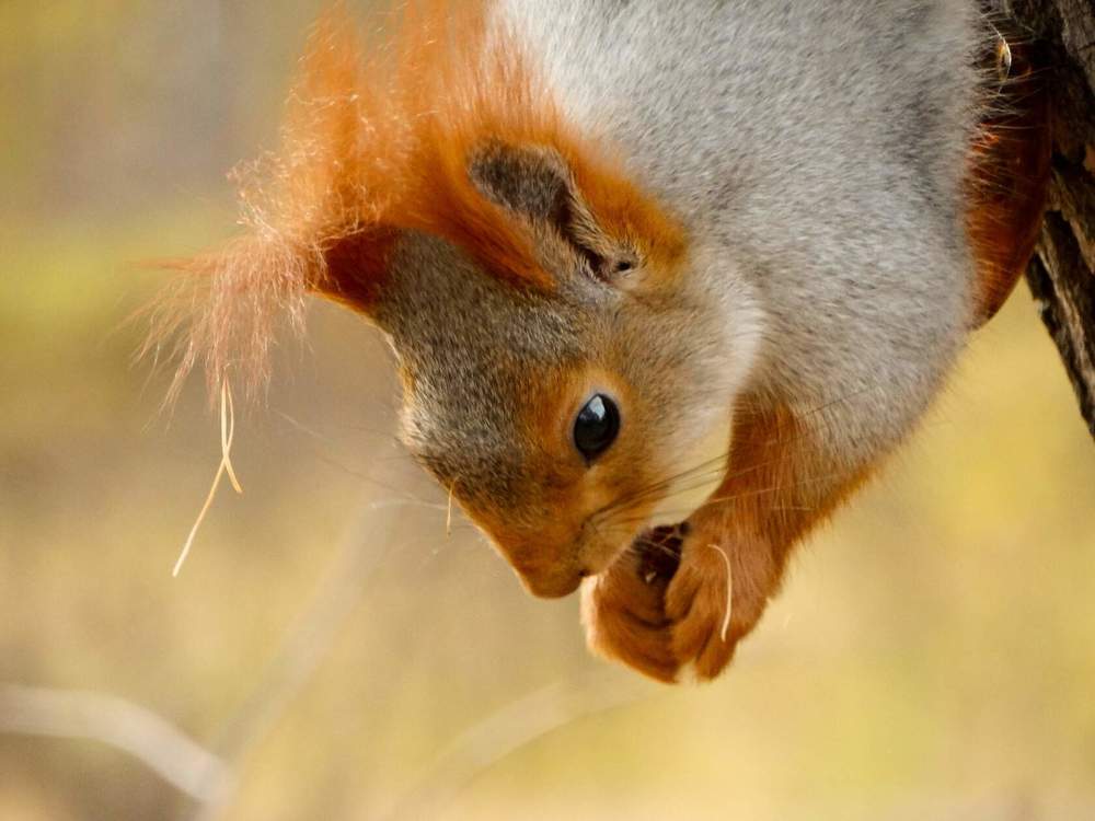 Photograph by Анжелика Трошина