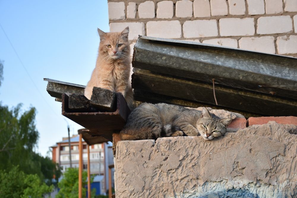 Photograph by Элеонора Безженова