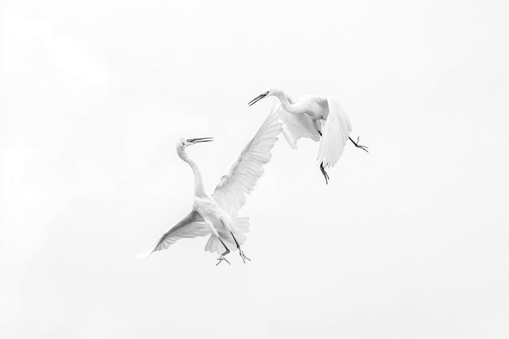 Photograph by AMEET SONTAKKE