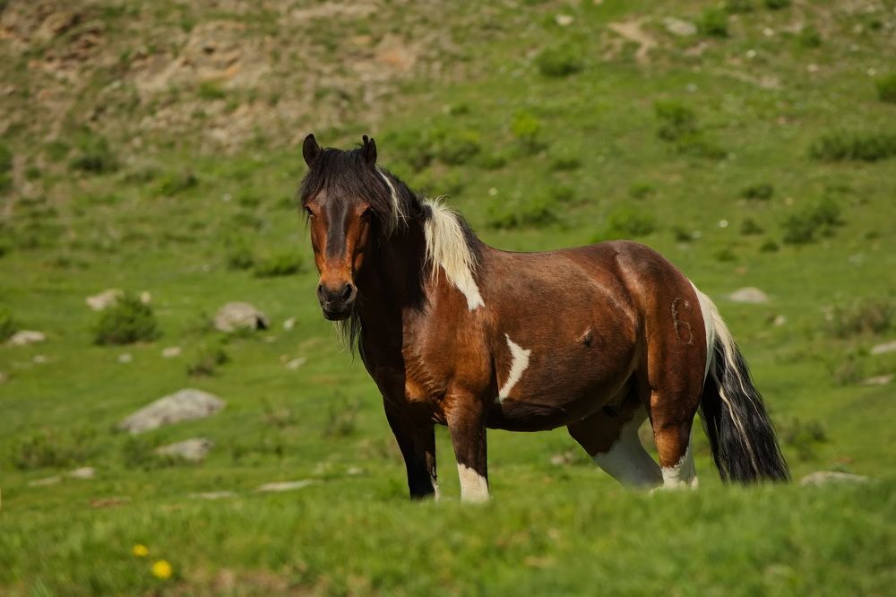 Photograph by Олег Раков