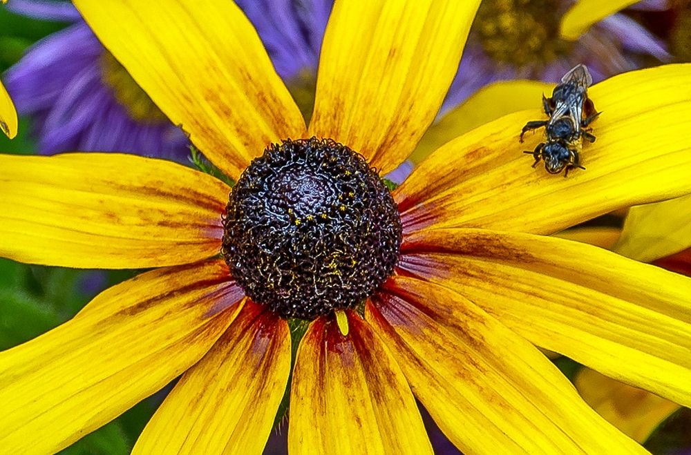 Photograph by Valery Kleymenov