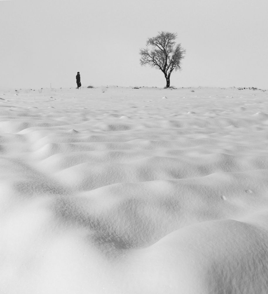 Фотография автора Hosein Davoodi