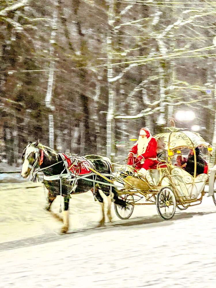 Photograph by Алексей Большаков