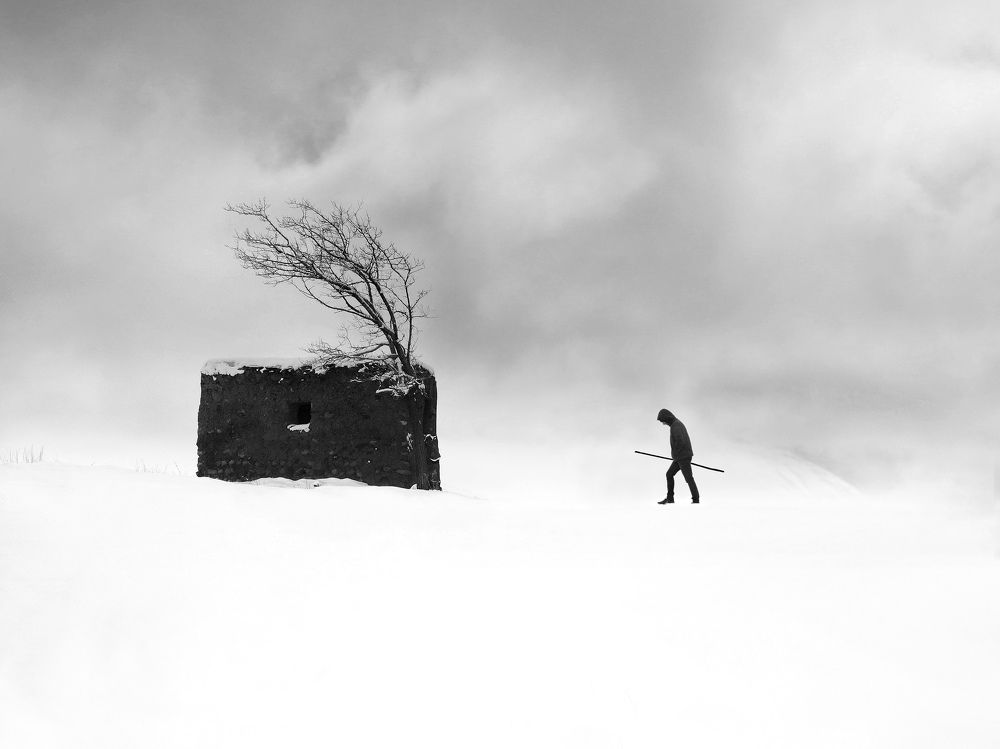 Фотография автора Hosein Davoodi