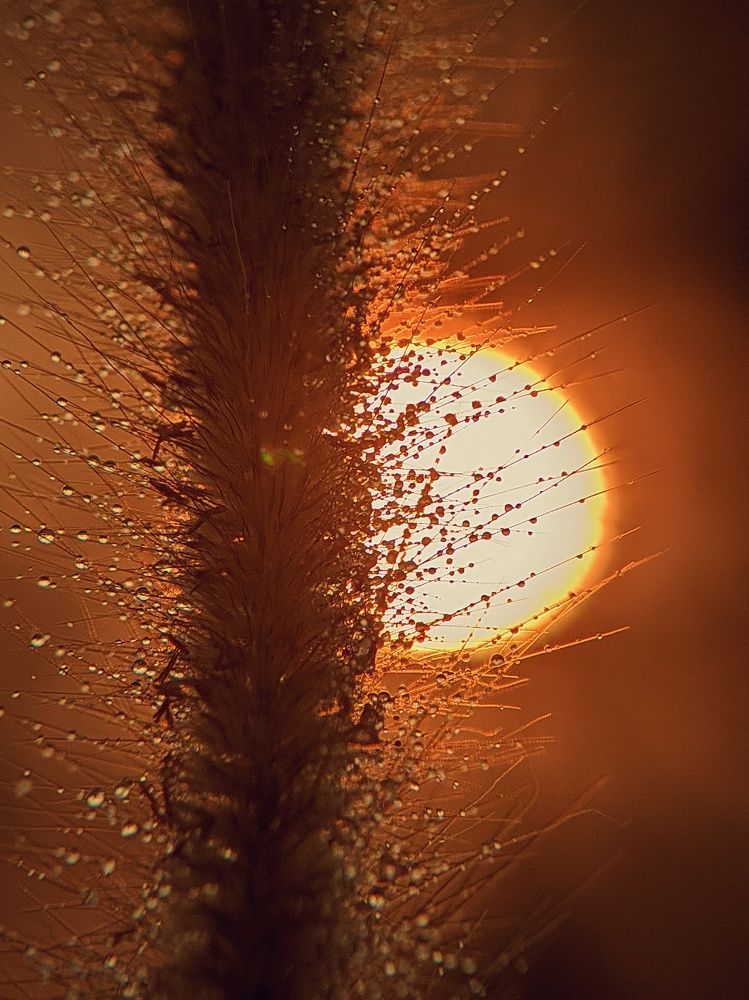 Photograph by Eka Uksyah