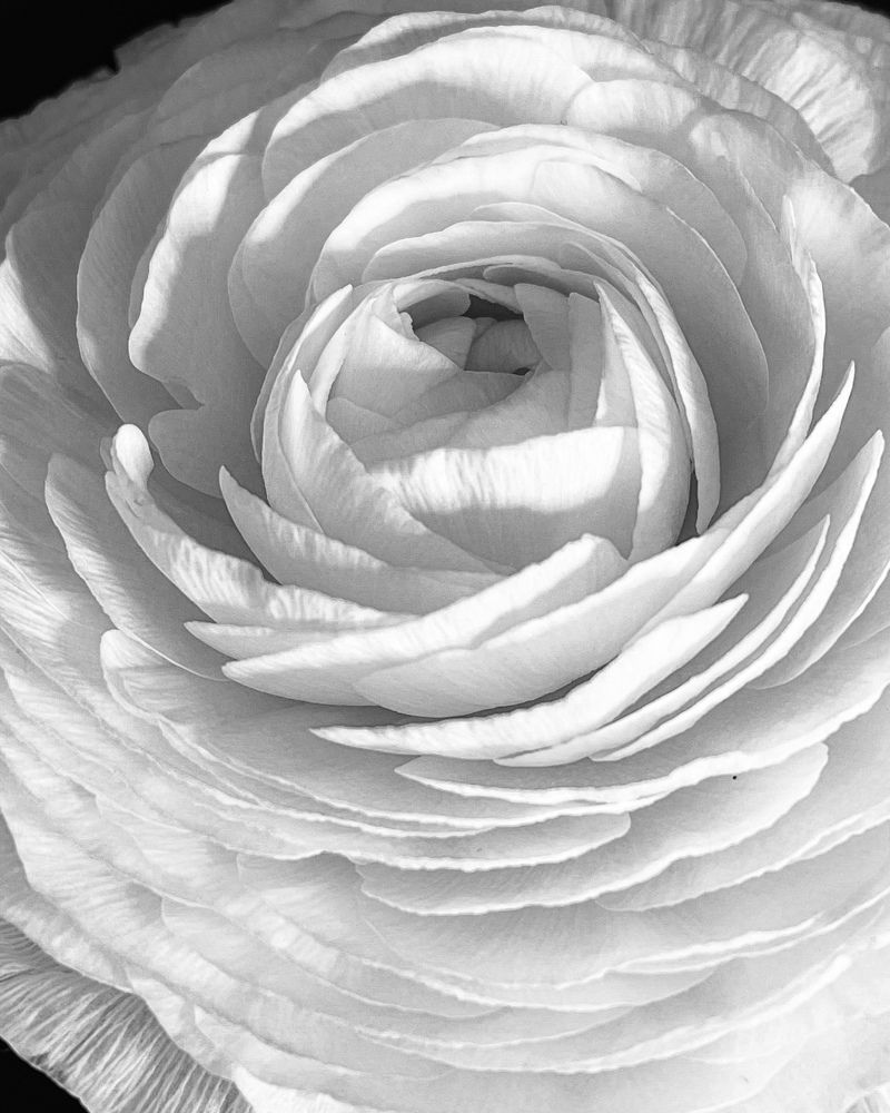 Фотография автора Рамзия Хисамутдинова