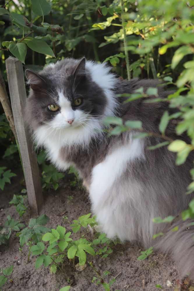 Photograph by Tatyana Semenova