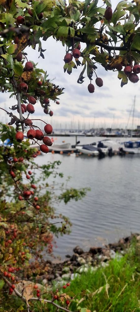 Photograph by Amin Karimi