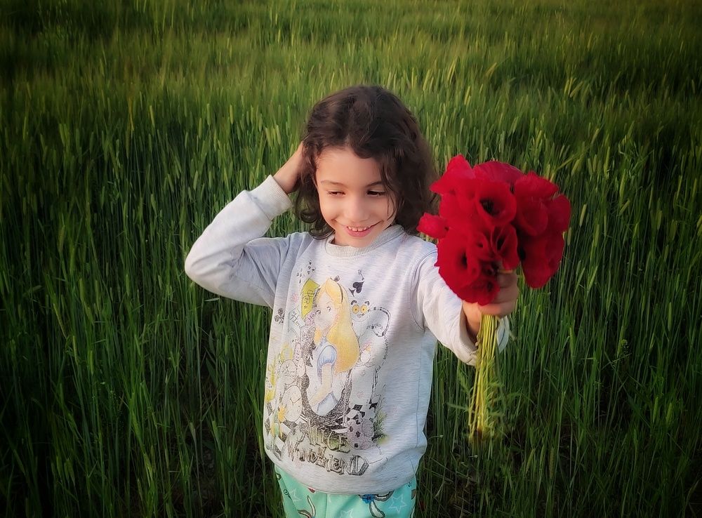 Фотография автора Mahdi Hosseini Kia