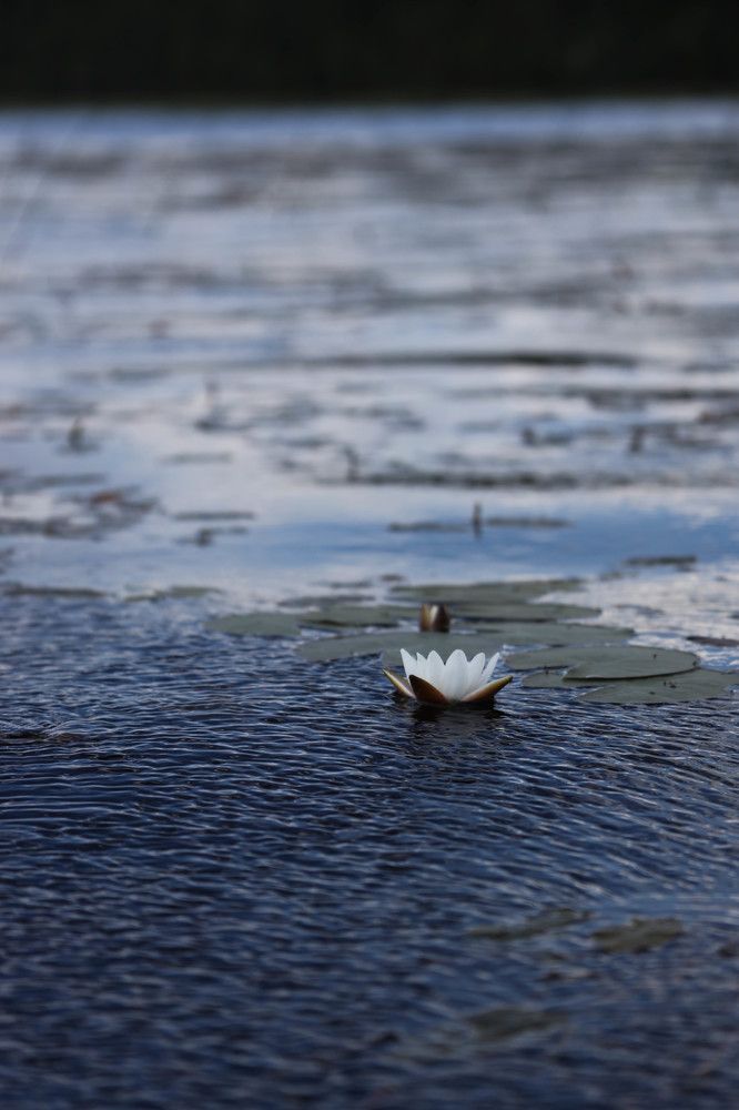 Photograph by Иван Лябах