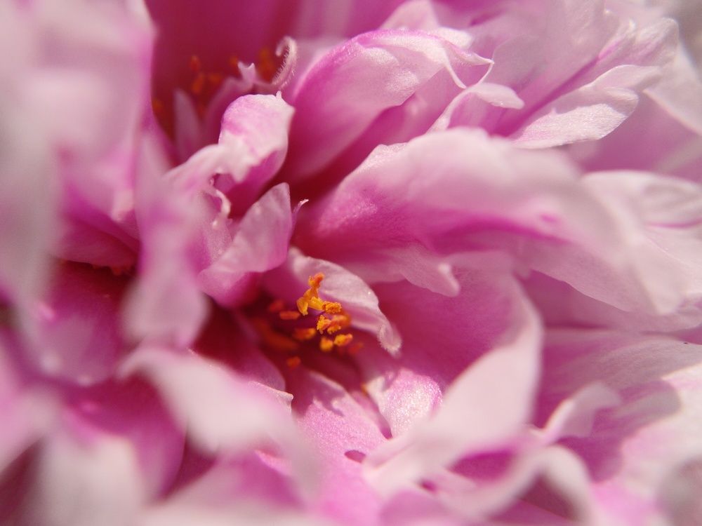 Photograph by Jai Shankar Chirivella