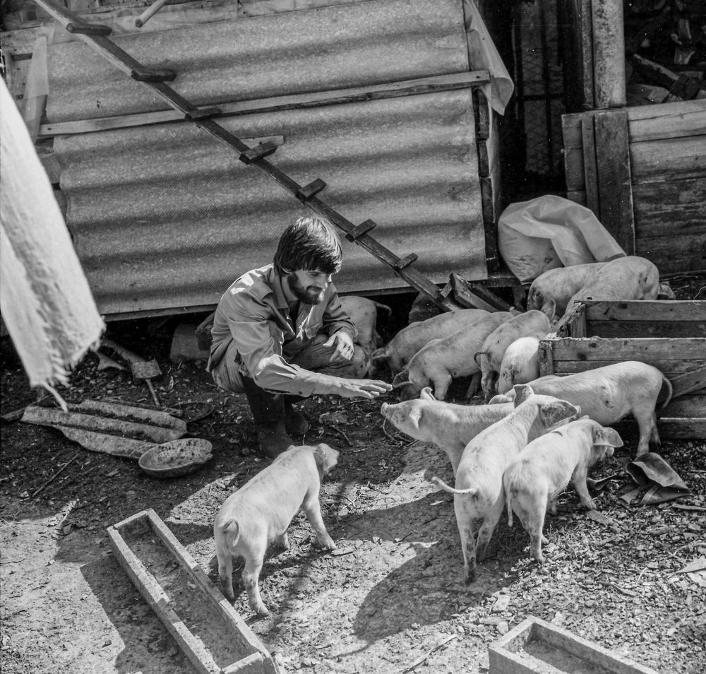 Photograph by Сергей Христинич