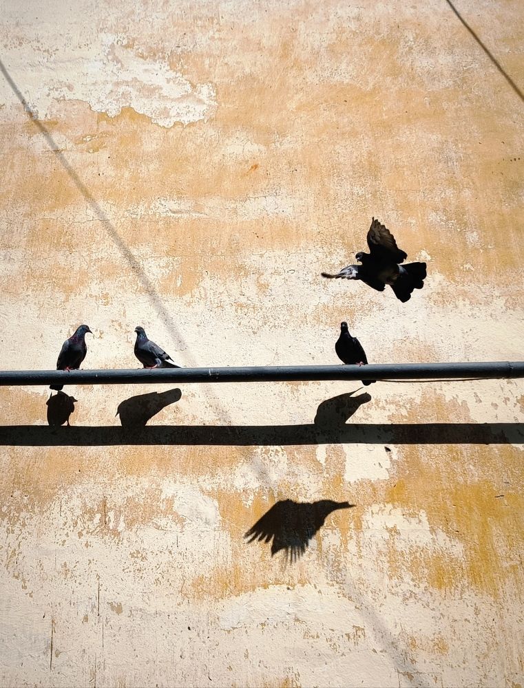 Photograph by Марина Хохрякова