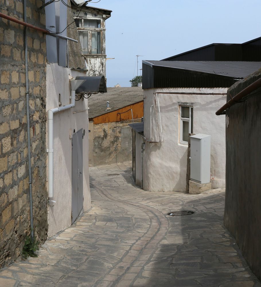 Фотография автора Анастасия Потапова