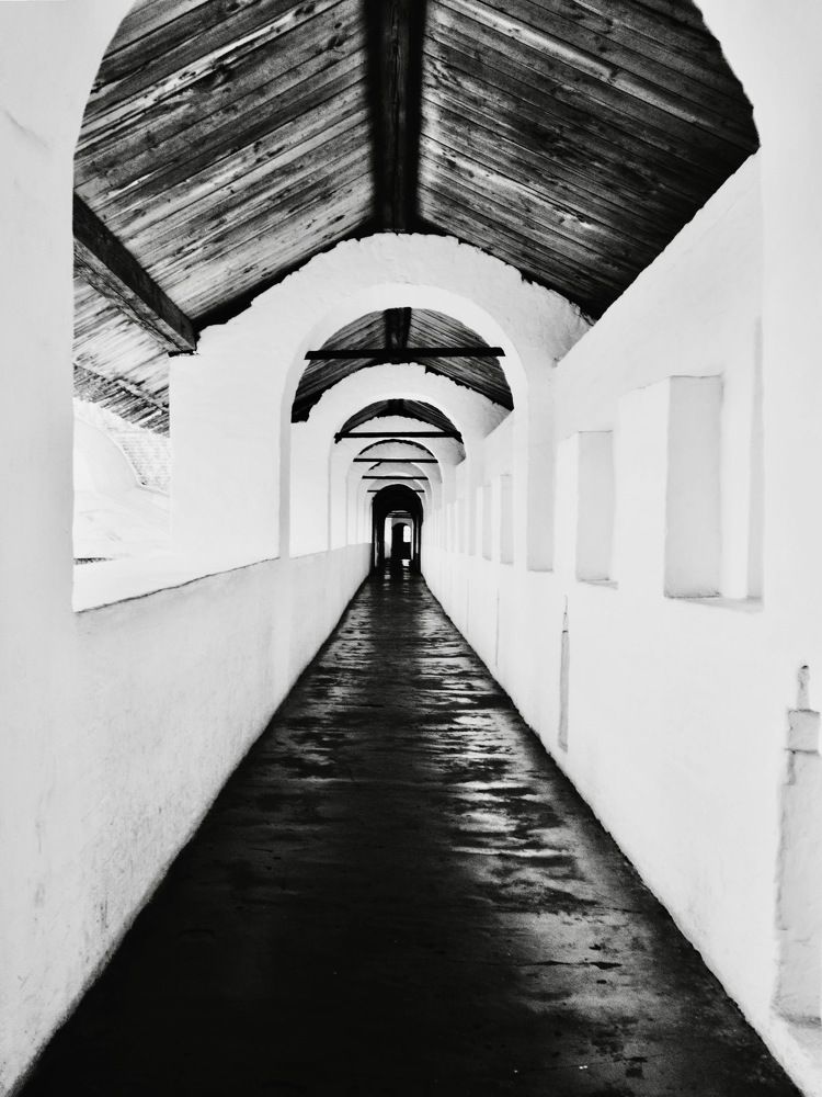 Photograph by Никита Петров