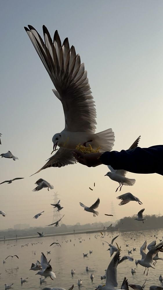 Photograph by Preetam Palo