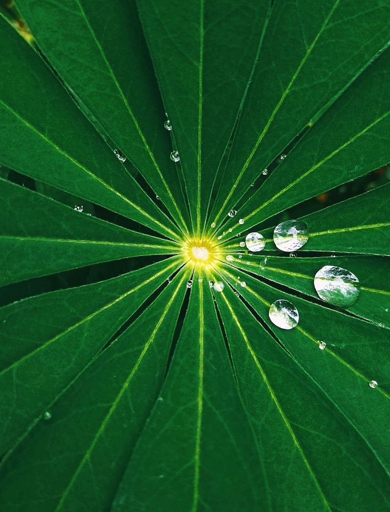 Photograph by Марина Хохрякова