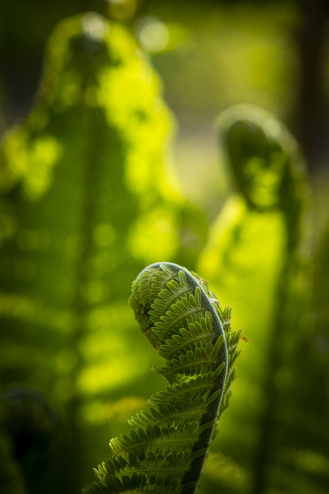 Photograph by Николай Галкин