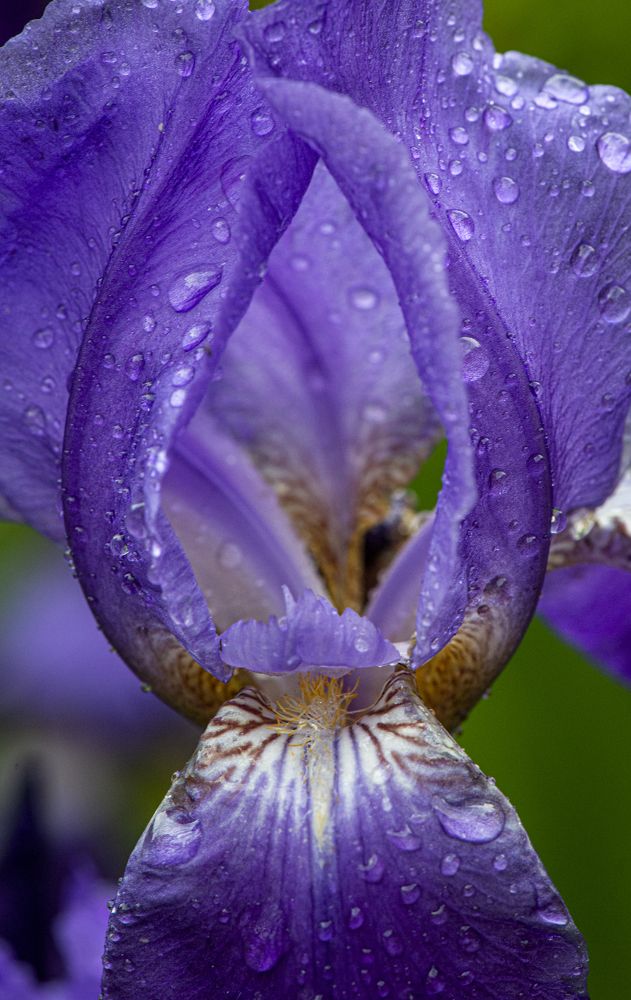 Photograph by Николай Галкин