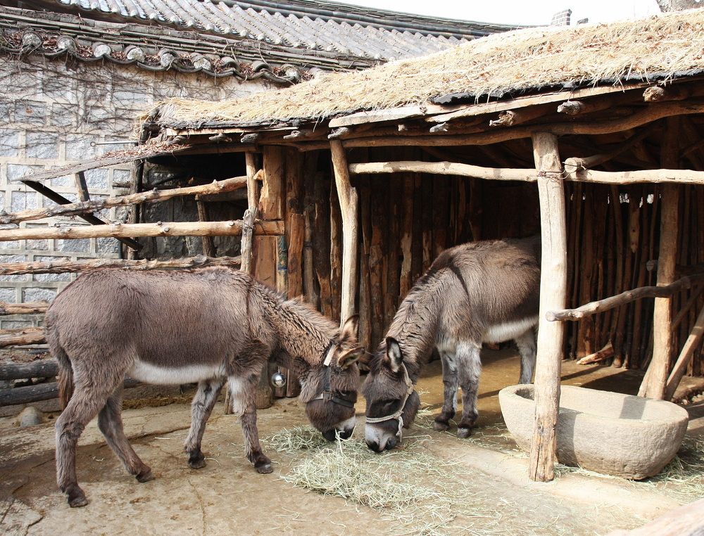 Фотография автора АЛЕКСАНДР ЦЫГЕЛЬНЮК