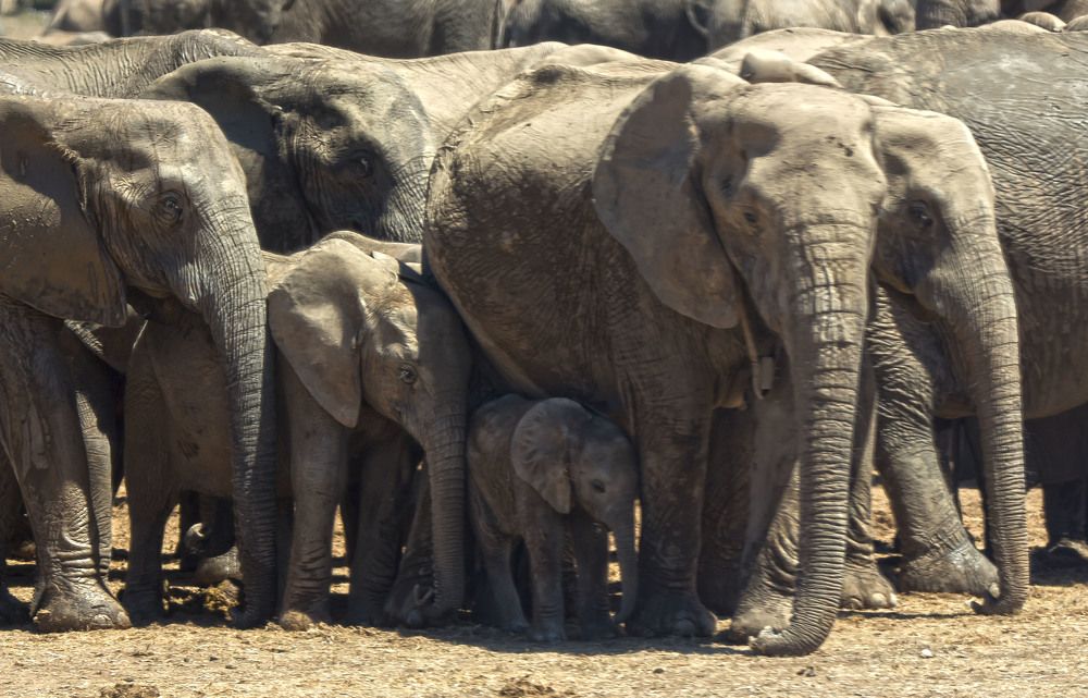 Photograph by Валентина Лопаткина