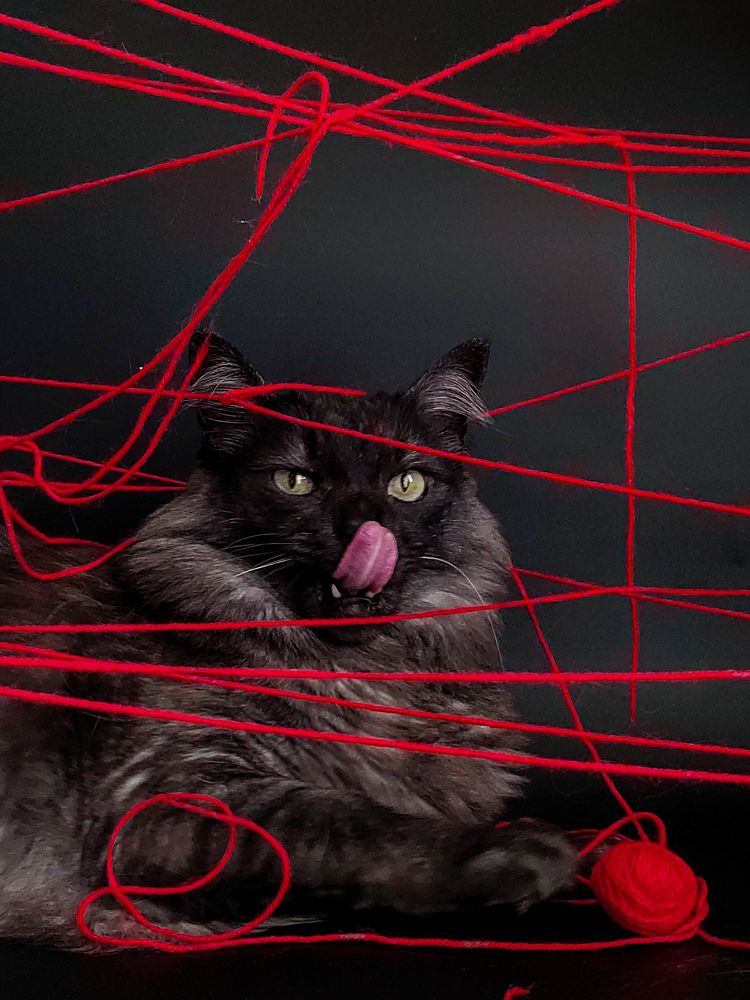 Photograph by Evgenia Korchagova