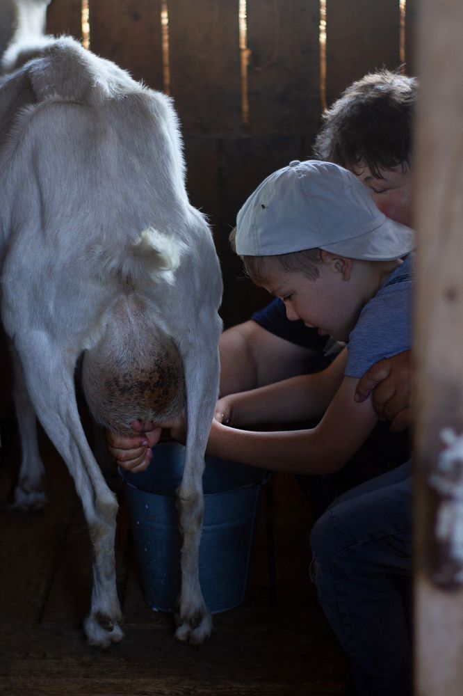 Photograph by Полина Ефимова