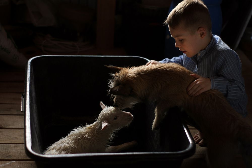 Photograph by Полина Ефимова