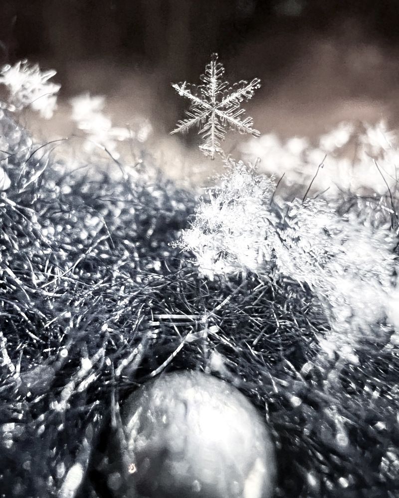 Photograph by Александра Акси