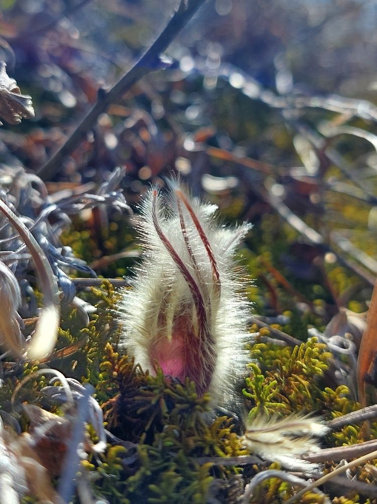 Photograph by Наталья Дубовкина