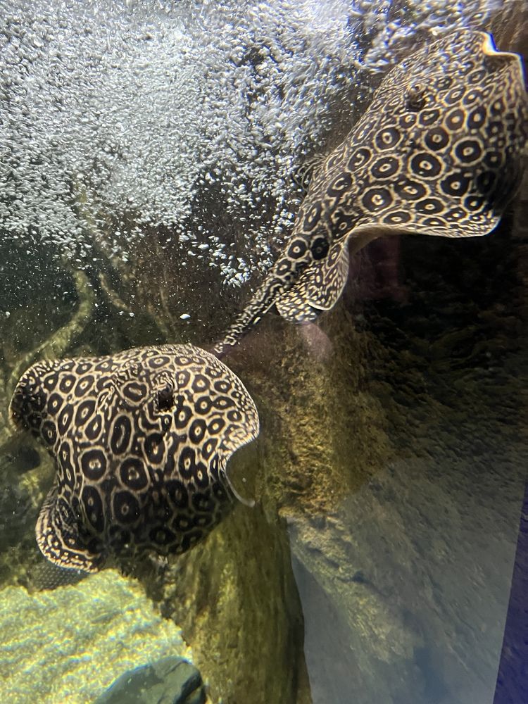 Photograph by Кира