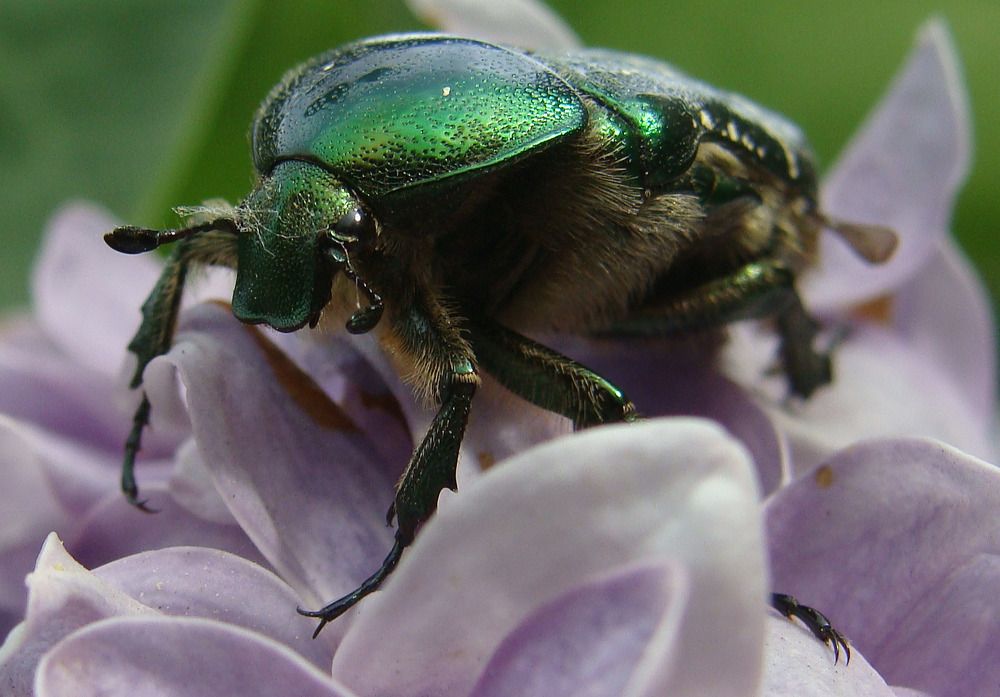 Фотография автора Павел Попов