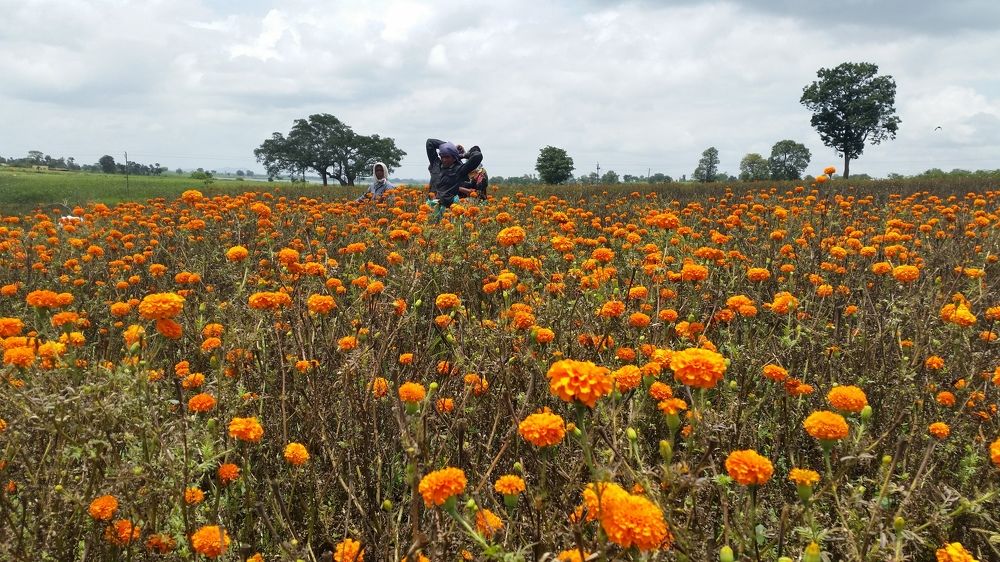 Photograph by Nirmalya Chakraborty