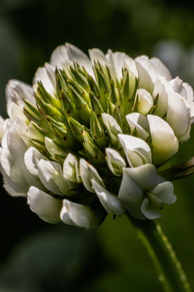 Photograph by Сергей Зайцев