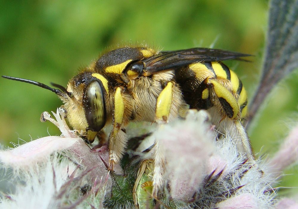 Фотография автора Павел Попов