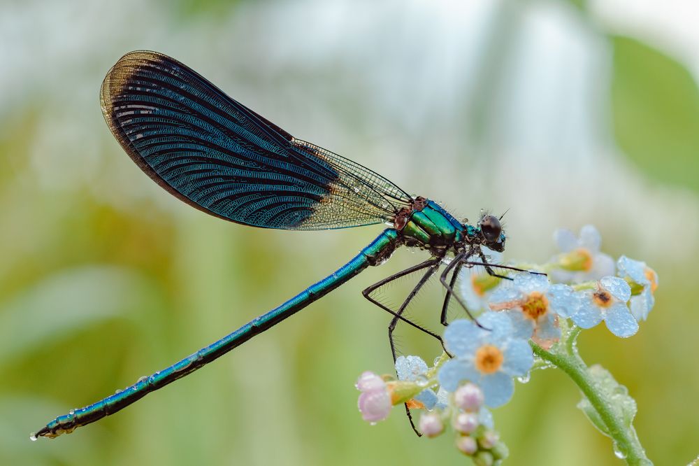 Фотография автора Роман Зайцев