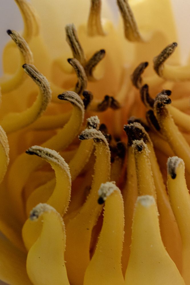 Photograph by Сергей Зайцев