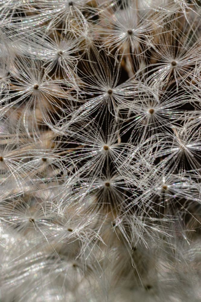 Photograph by Сергей Зайцев