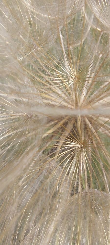 Фотография автора Ольга Круковская