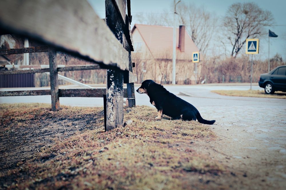 Photograph by Елена Ефимова