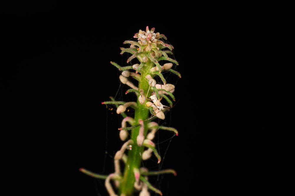 Photograph by Yuriy Teplukhin