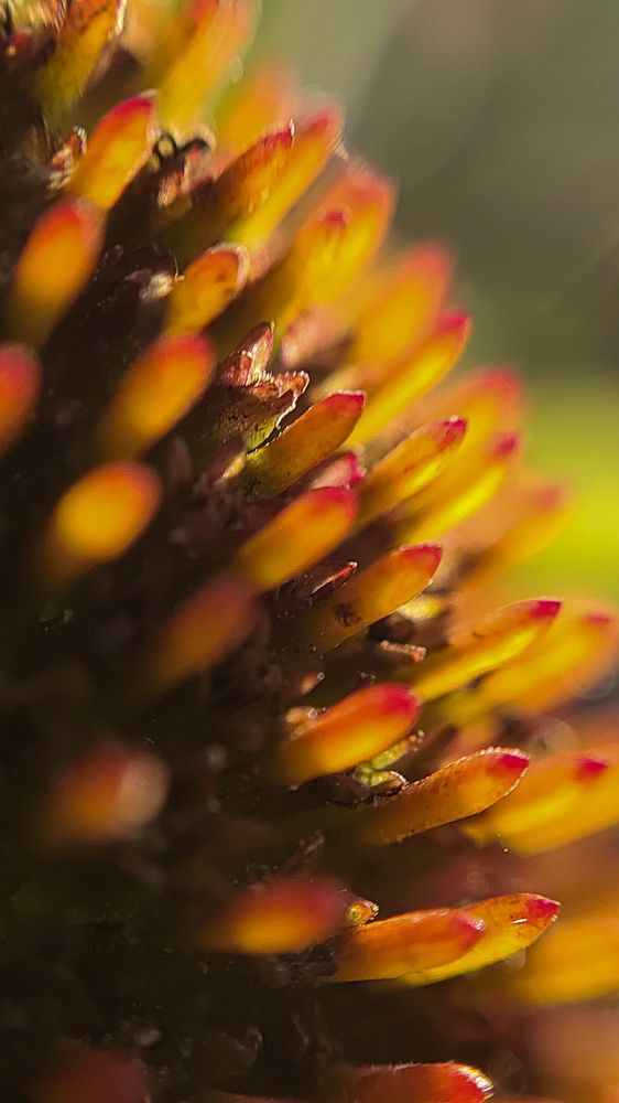 Photograph by Evgenia Korchagova