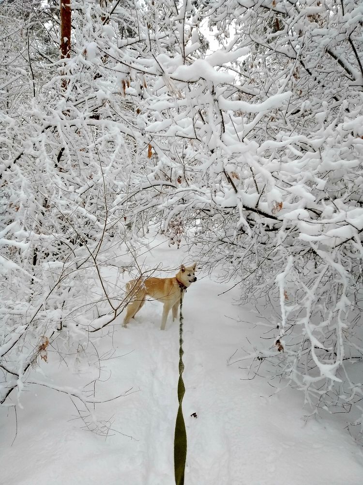 Photograph by Olga Александрова