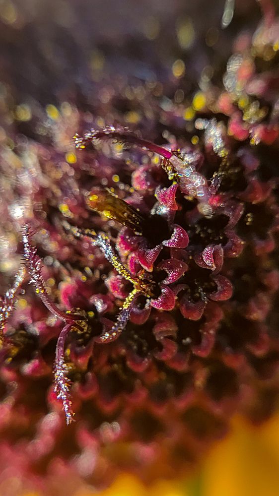 Photograph by Evgenia Korchagova