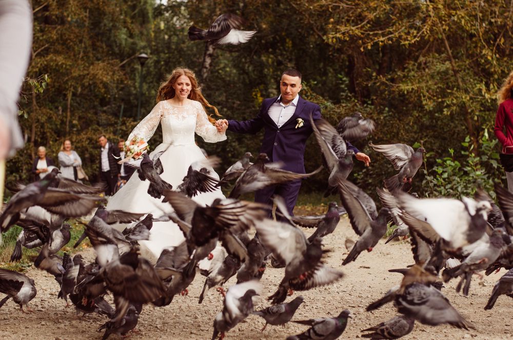 Любовь и голуби