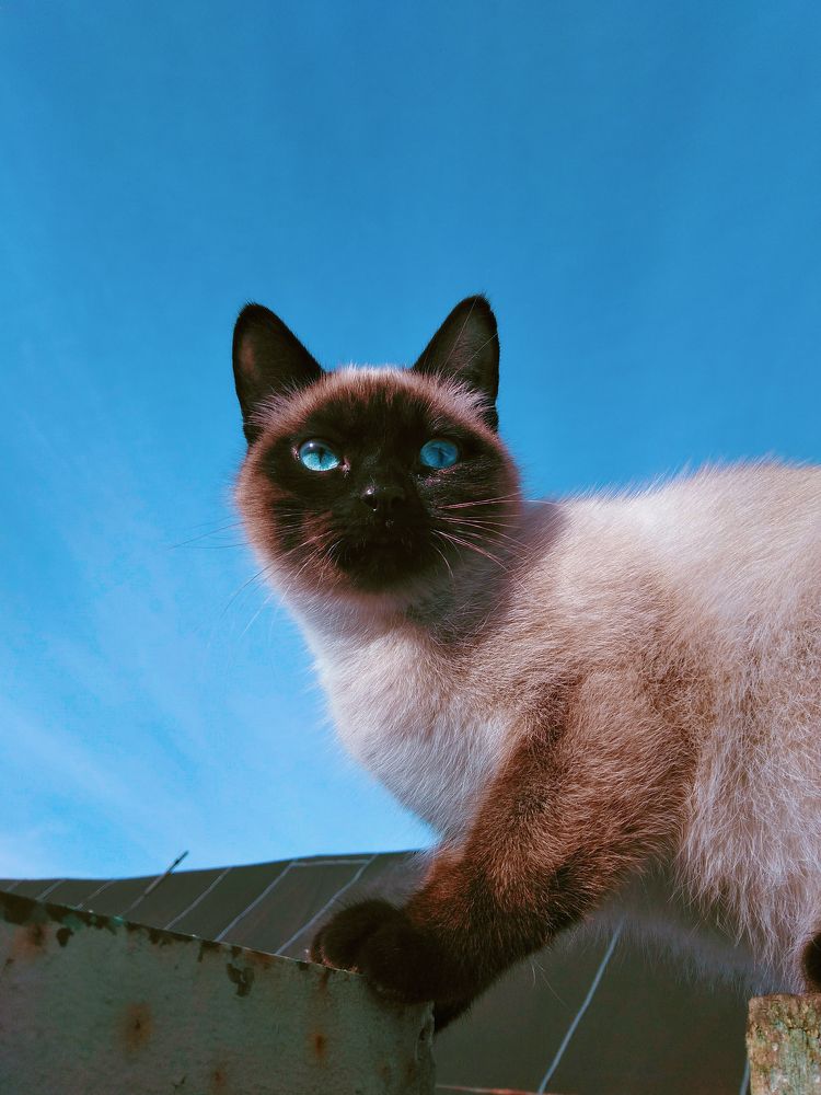 Photograph by Анна Любимова