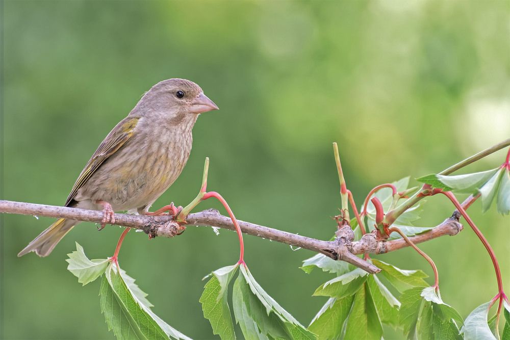 Photograph by Сергей