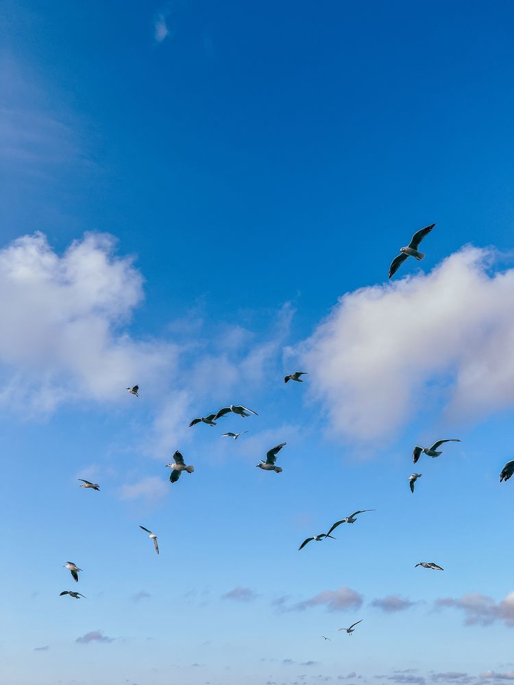 Photograph by Наталья Кеворкова